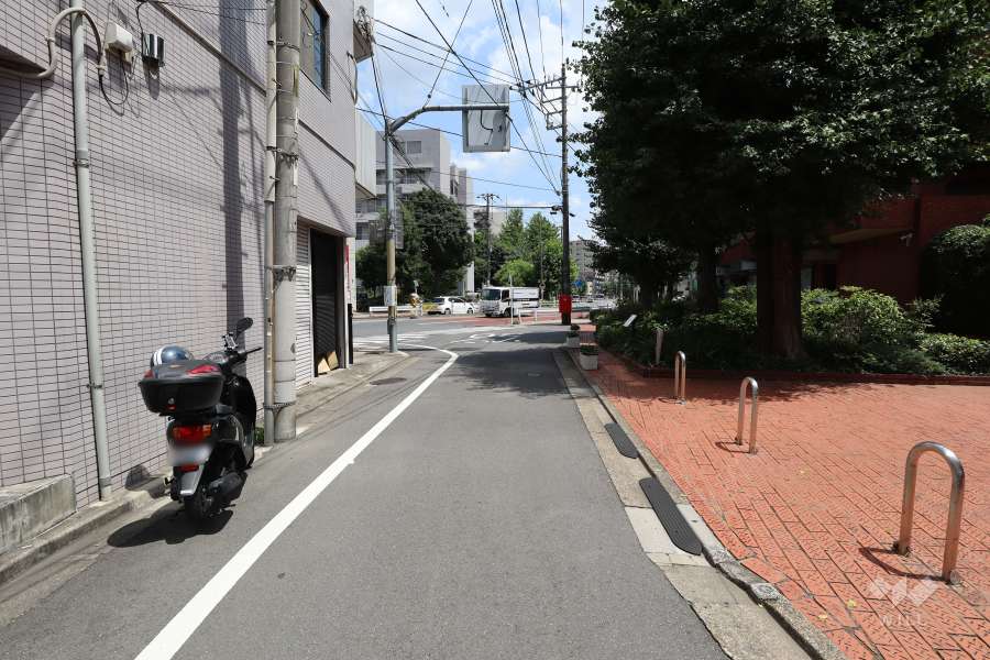 敷地北側の前面道路（西側から）