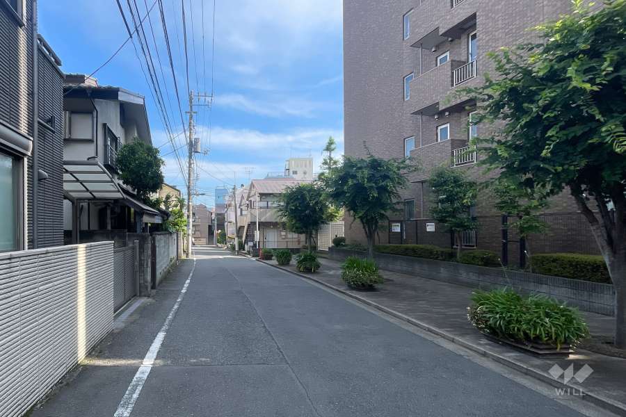 敷地東側の前面道路　