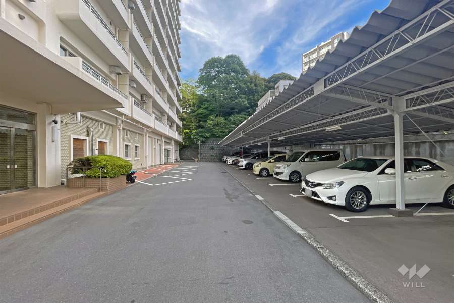 敷地内駐車場（屋外平面式）