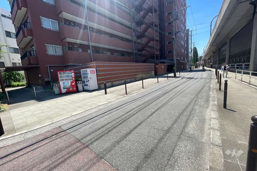 敷地西側の前面道路（北側から）