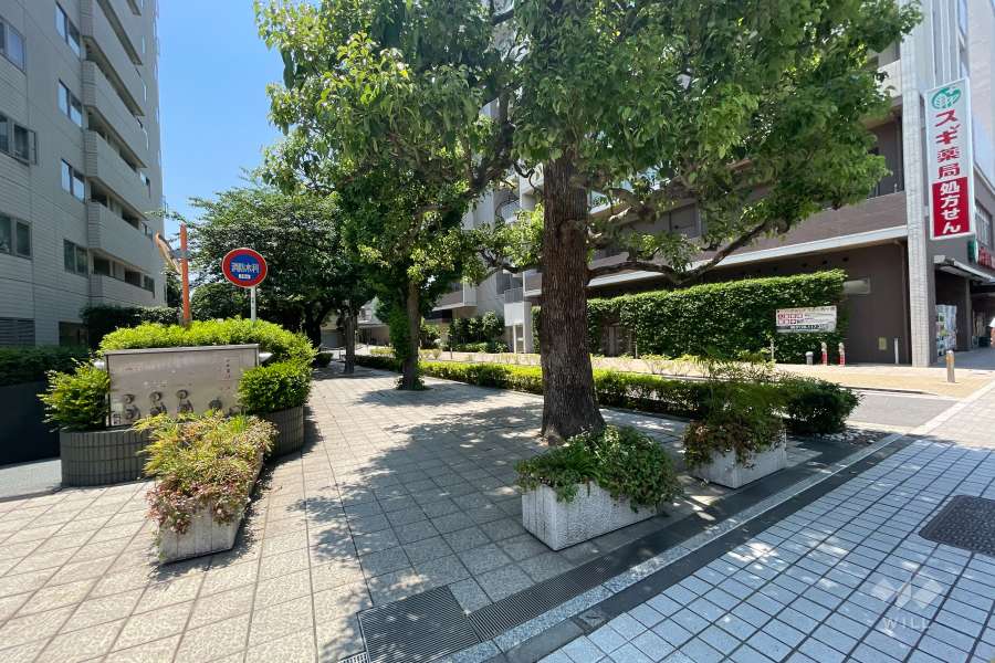 敷地西側の前面道路