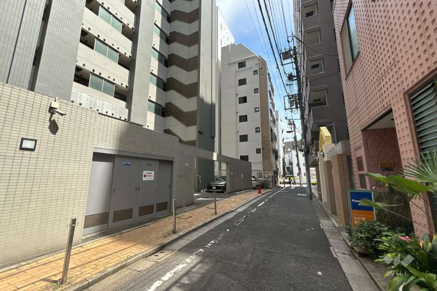 敷地の西側前面道路（北側から）