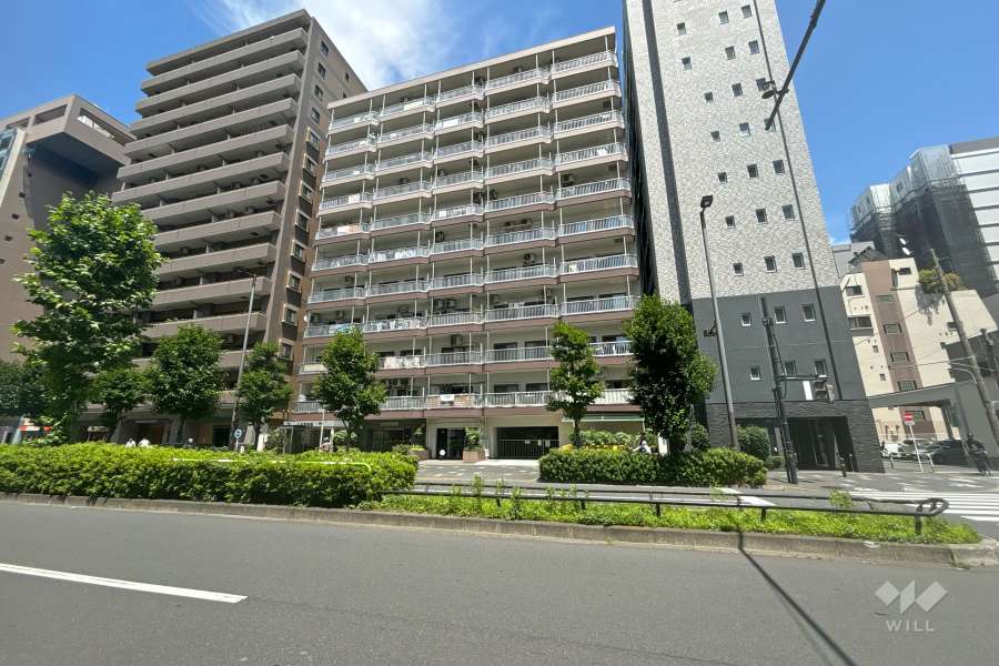 赤羽グリーンハイツの外観（南西側から）