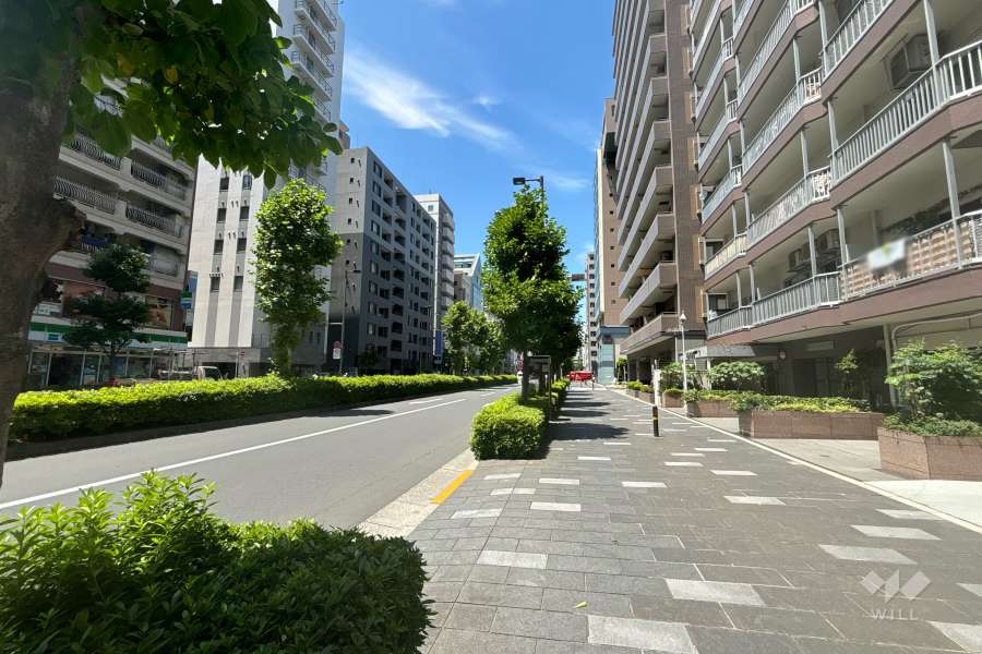 敷地西側の前面道路