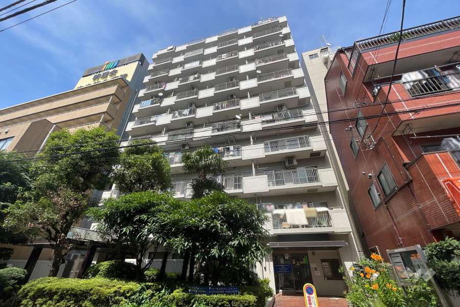 東十条グリーンハイツの外観（南西側から）