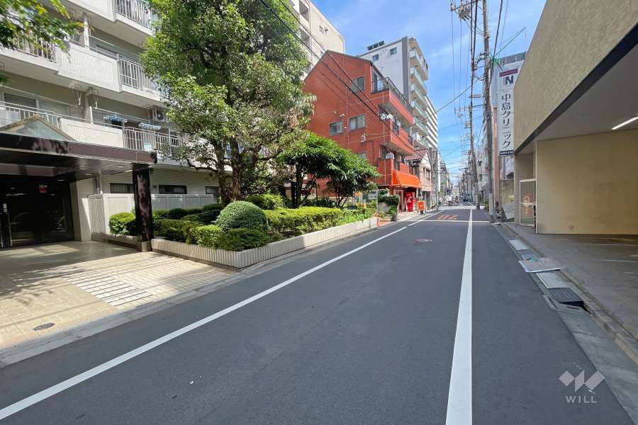 敷地の西側前面道路（北側から）