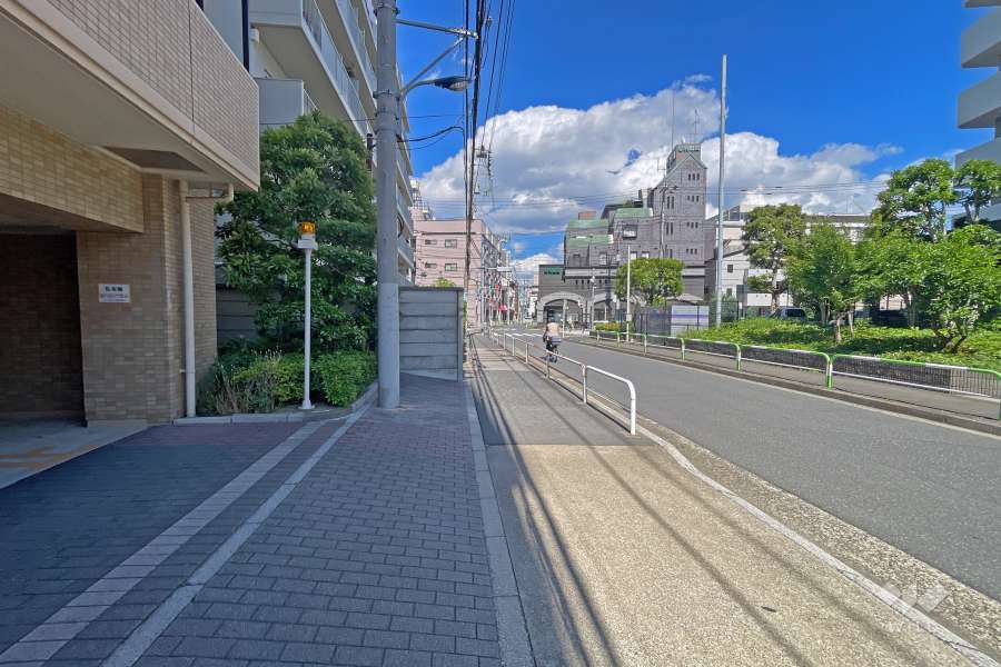 敷地の南側前面道路（西側から）