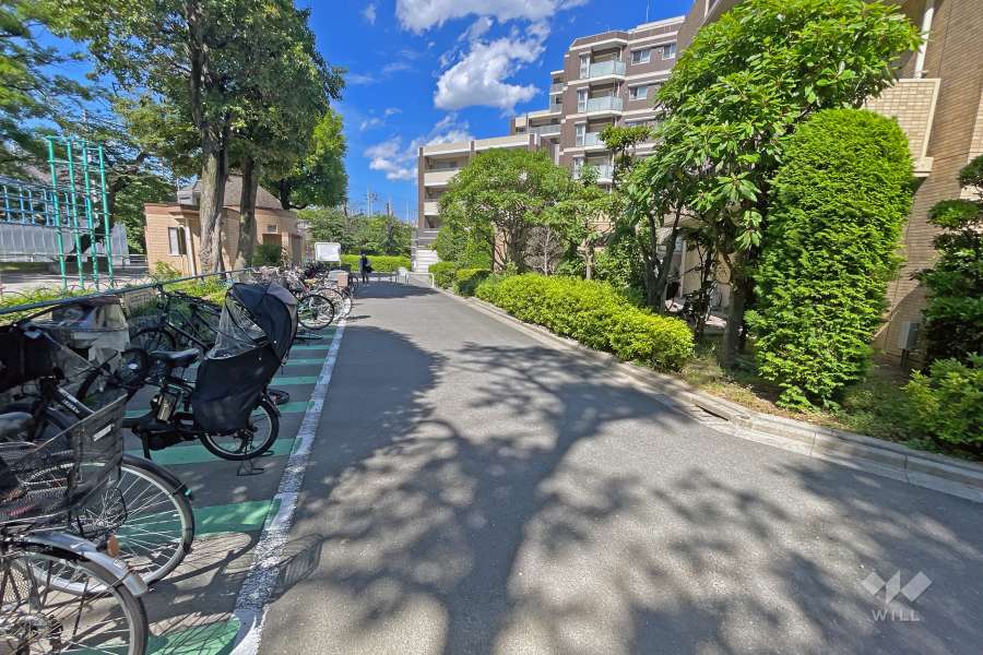 敷地の西側前面道路（南側から）