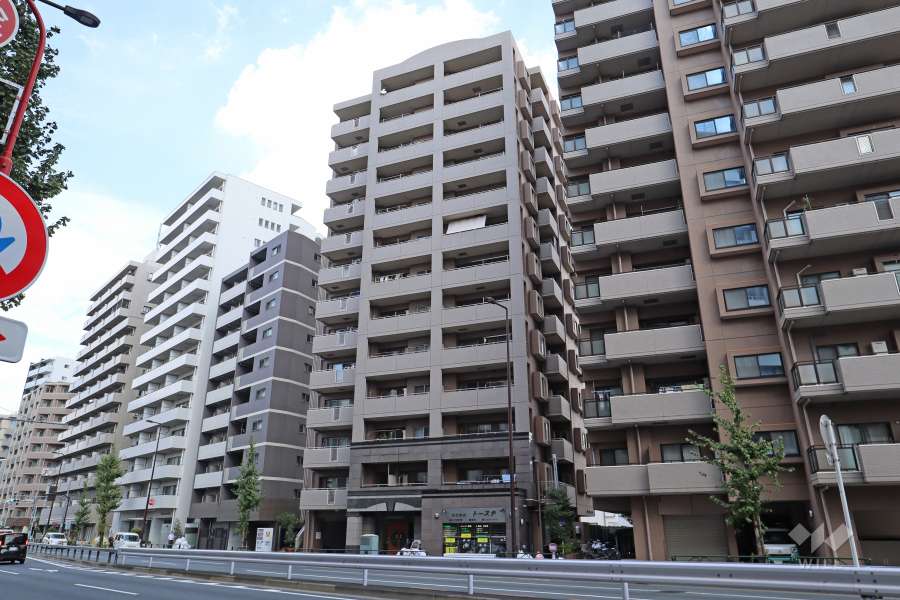 日神パレステージ王子神谷ウエストウィングの外観（南西側から）