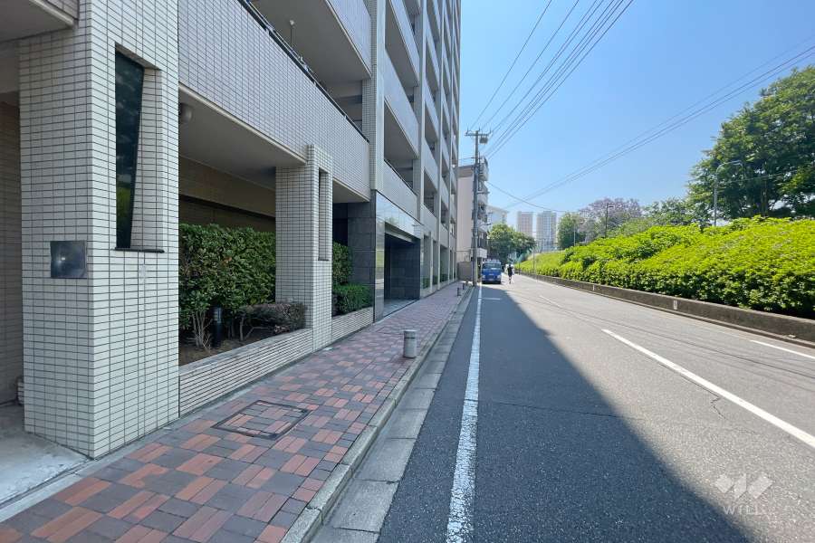 敷地東側の前面道路