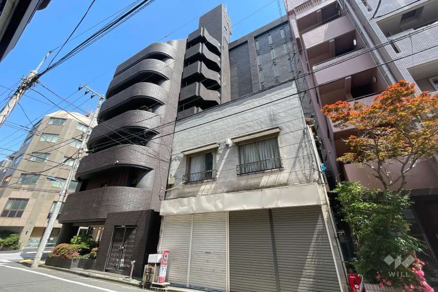 パレドール六義園北の外観（西側から）