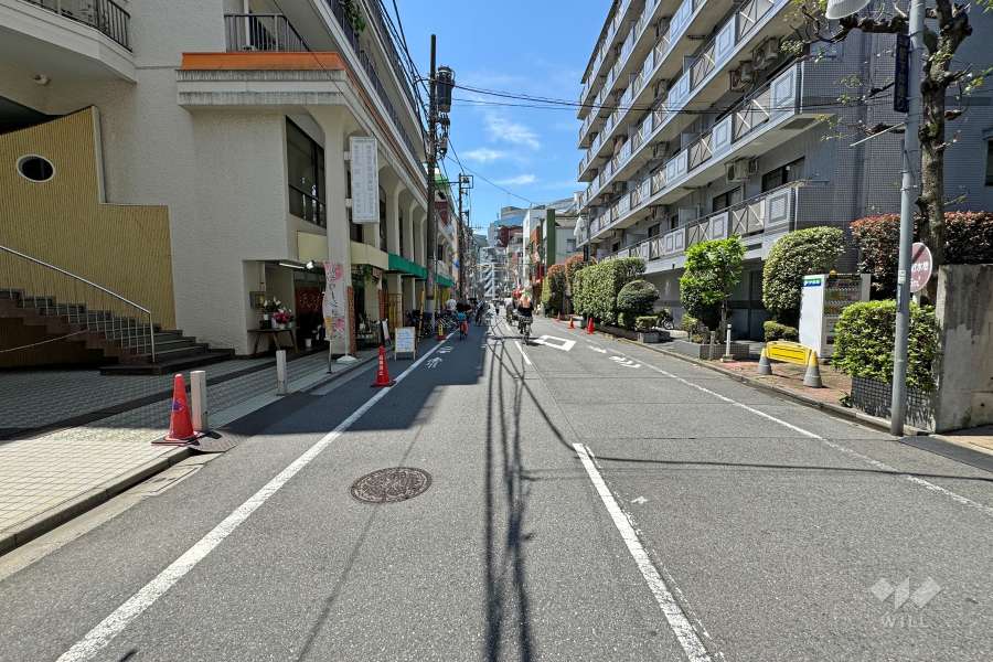 敷地西側の前面道路（北側から）