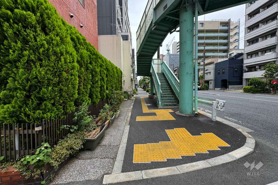 敷地南西側の前面道路（北西側から）