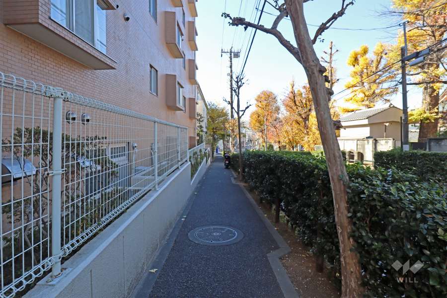 敷地北西側の前面道路（北東側から）