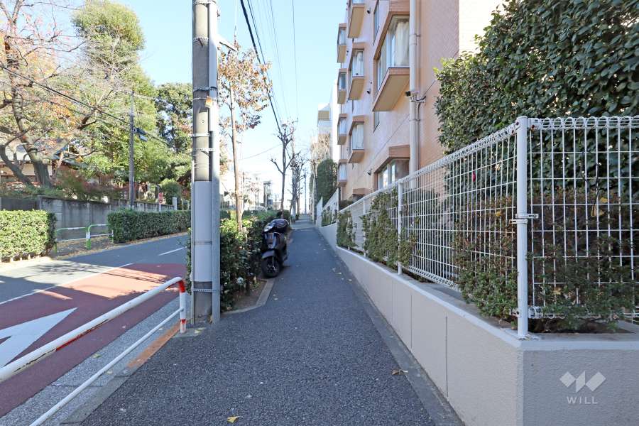 敷地北西側の前面道路（南西側から）