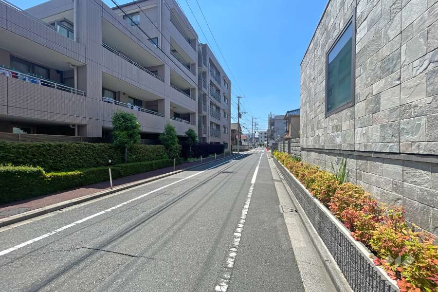 敷地西側の前面道路（北側から）