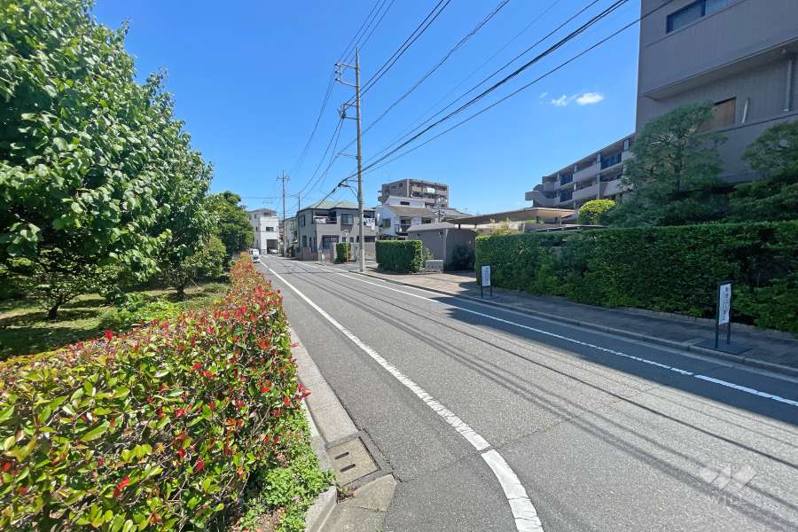 敷地西側の前面道路（南側から）