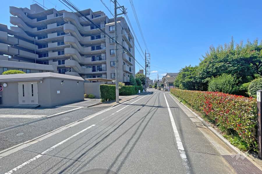 敷地西側の前面道路（北側から）