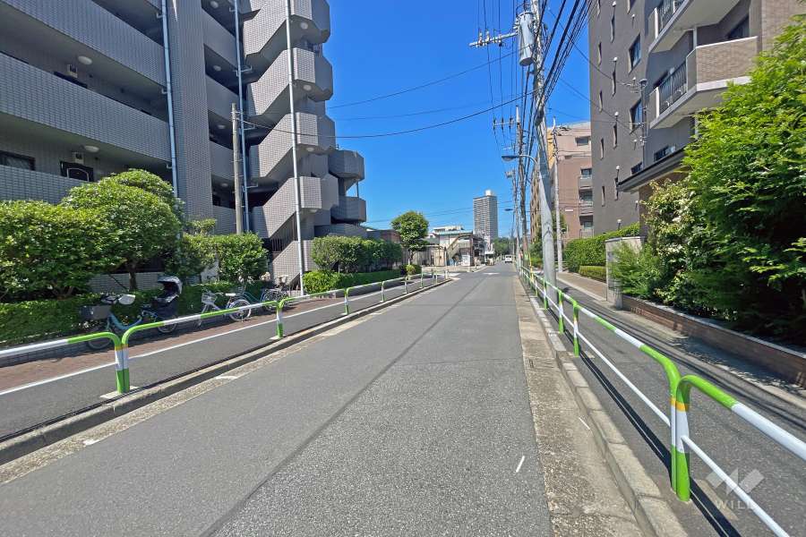 敷地の北側前面道路は浮間けやき通りです（東側から）。