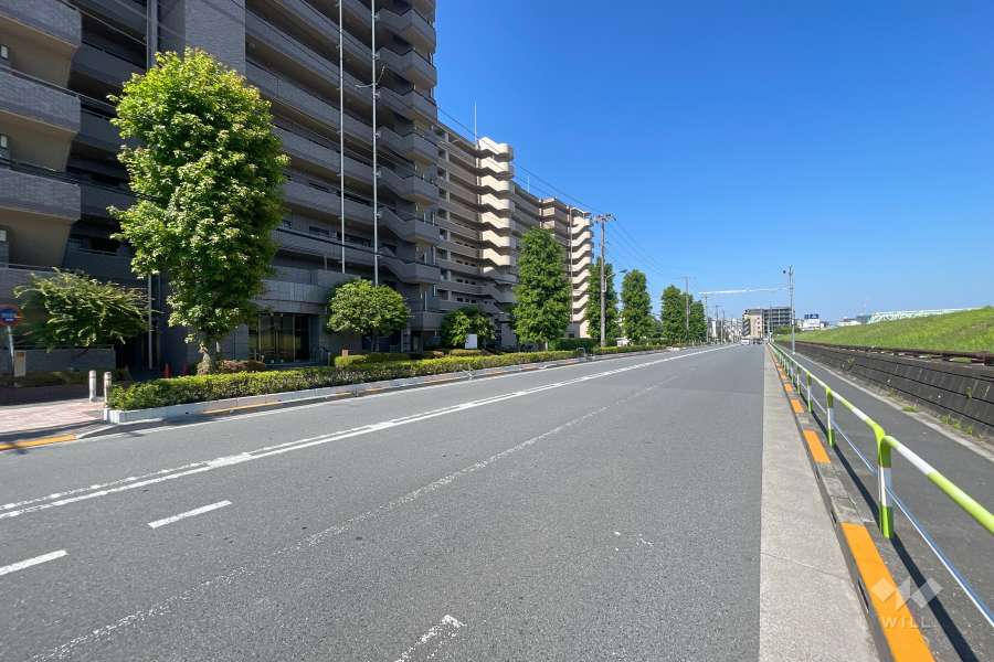 敷地北側の前面道路　