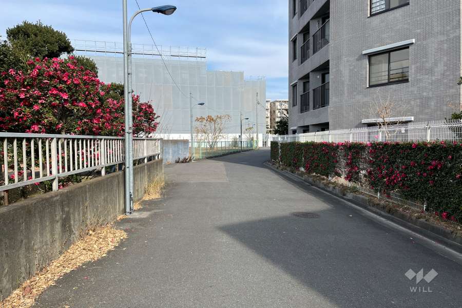 敷地の西側前面道路（南側から）