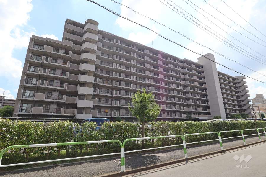 ソルフェスタ赤羽の外観（北東側から）