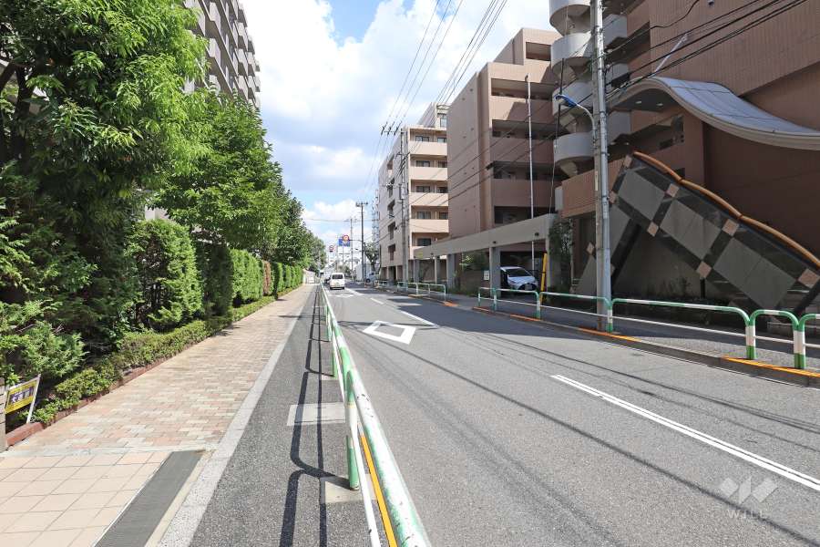 敷地南側の前面道路（西側から）