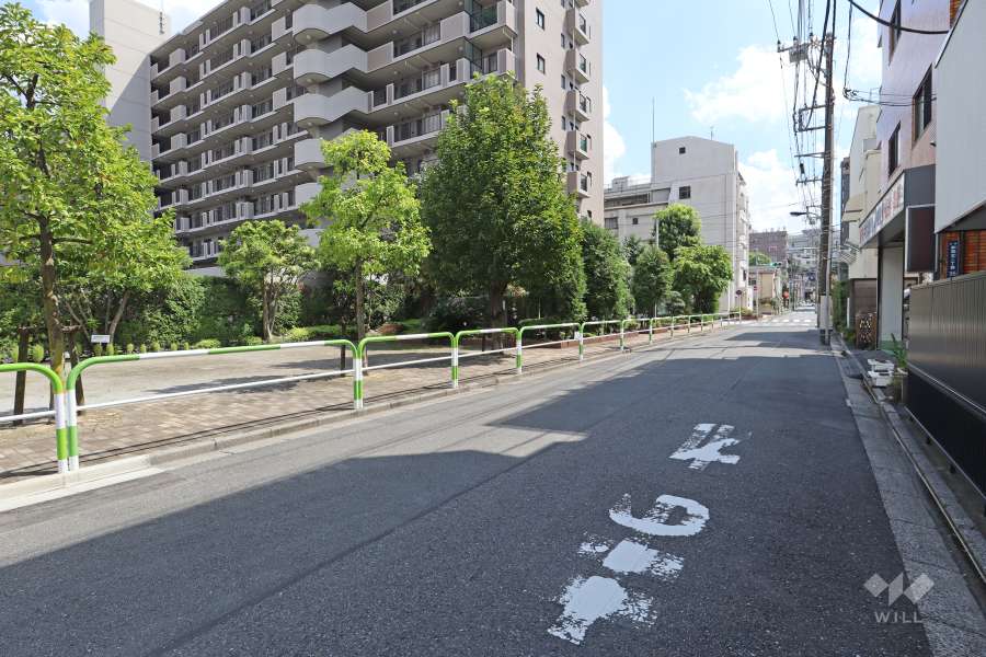敷地西側の前面道路（北側から）