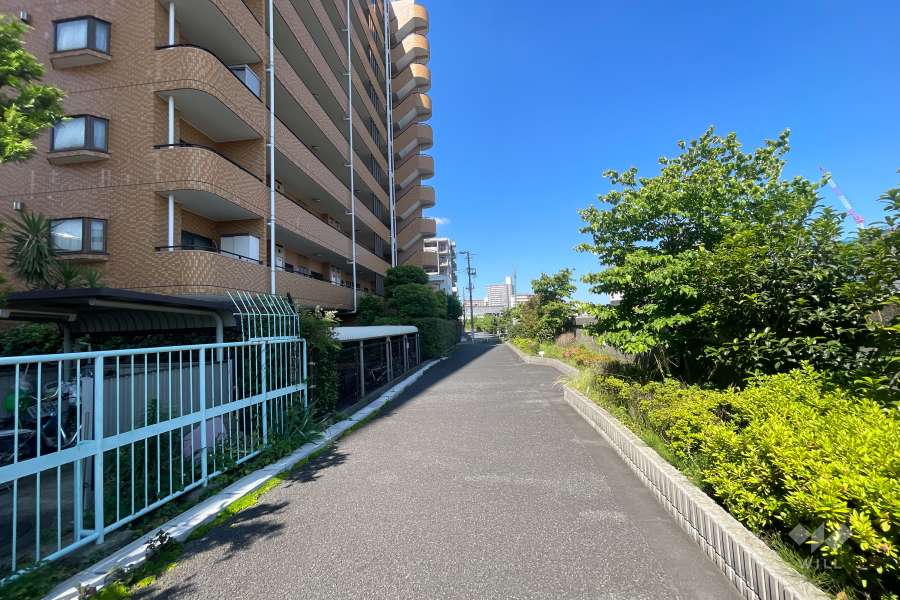 敷地北側の前面道路