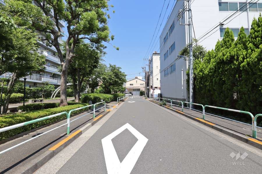 敷地南側の前面道路（西側から）