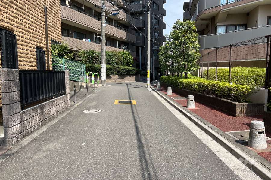 敷地西側の前面道路