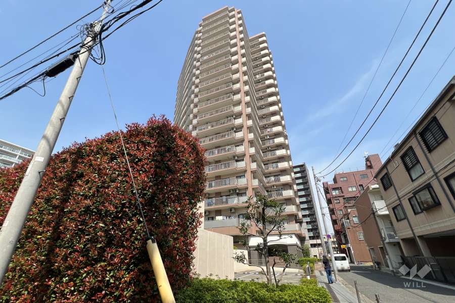 ライオンズタワー赤羽の外観（南側から）