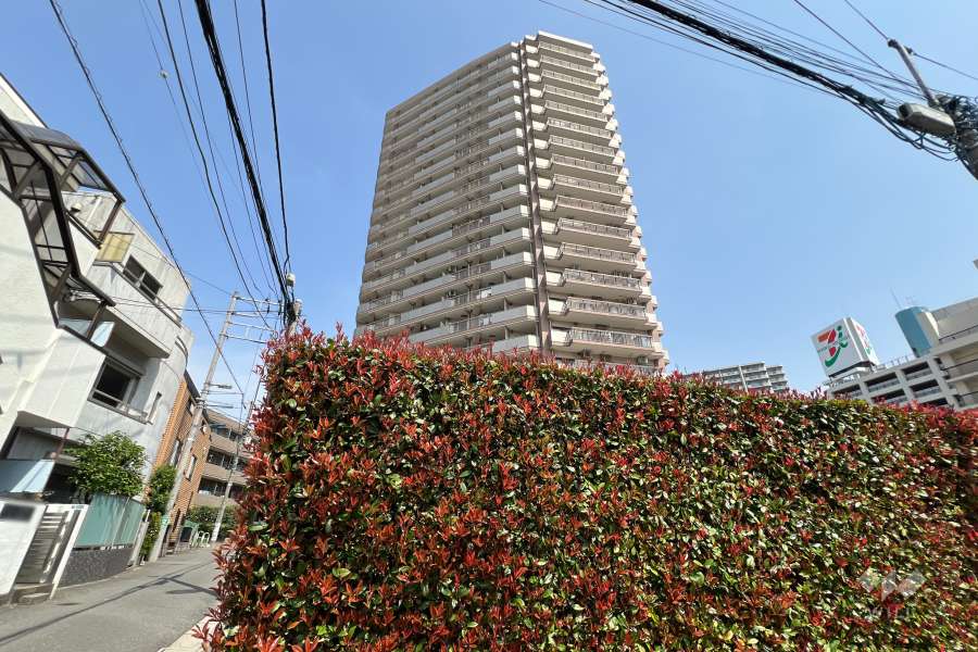 ライオンズタワー赤羽の外観（西側から）