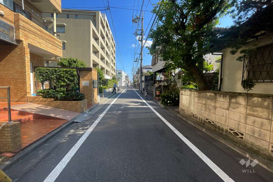 敷地南西側の前面道路（北西側から）