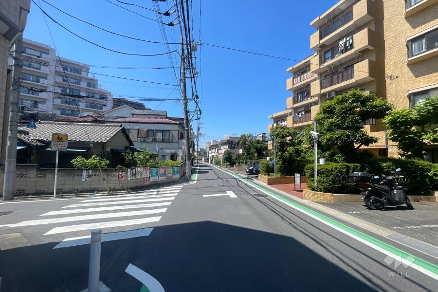 敷地の西側前面道路（南側から）