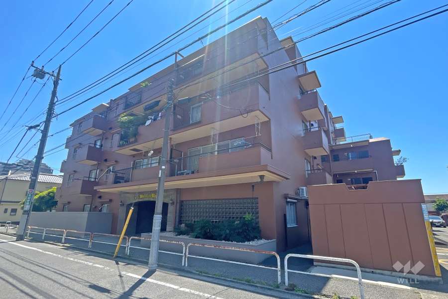 ライオンズマンション浮間の外観（北東側から）