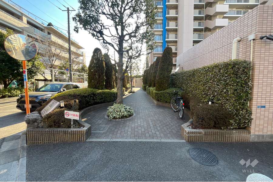 敷地南東側の前面道路（北東側から）