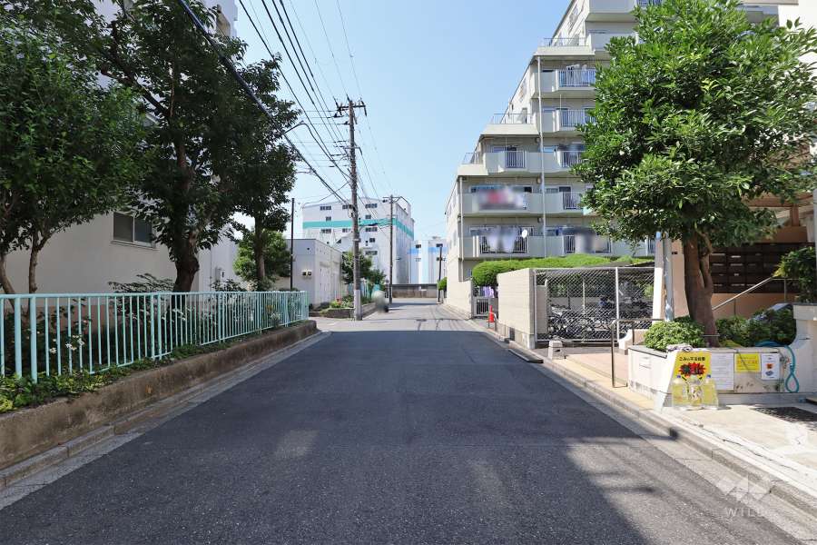 敷地西側の前面道路（南側から）