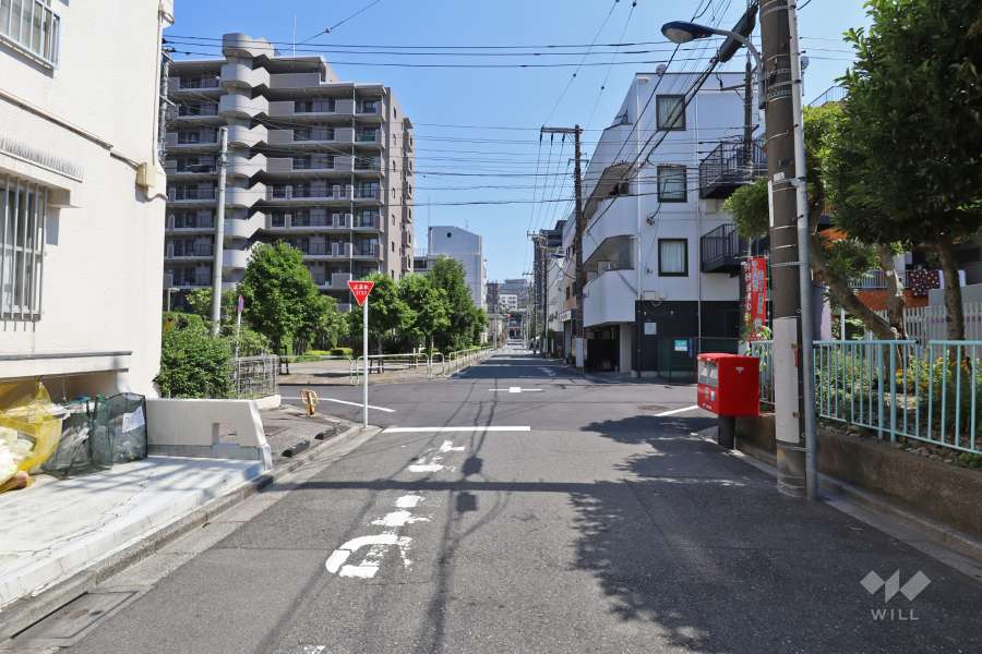 敷地西側の前面道路（北側から）