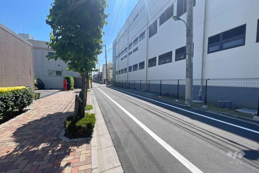 敷地南側の前面道路　