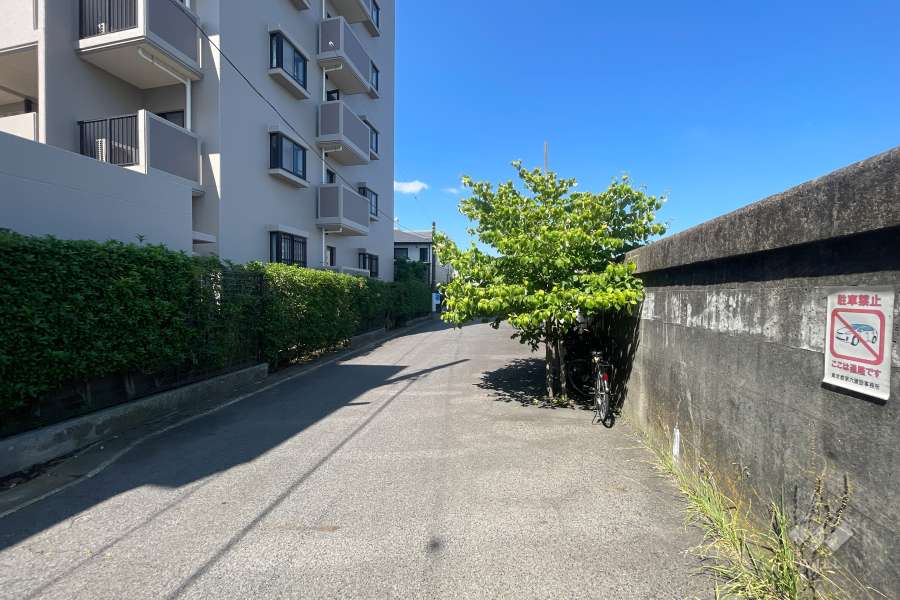 敷地北側の前面道路　
