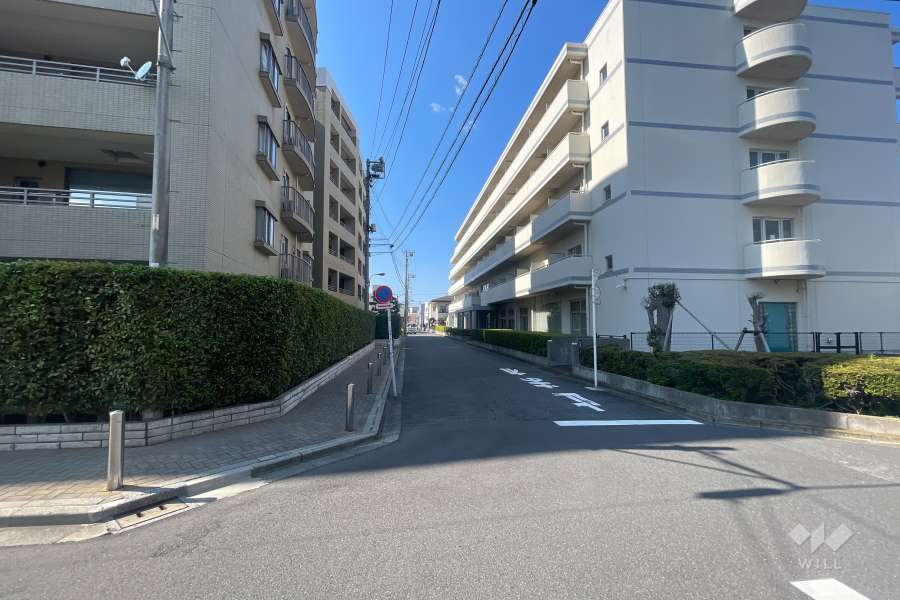 敷地の東側前面道路（南側から）