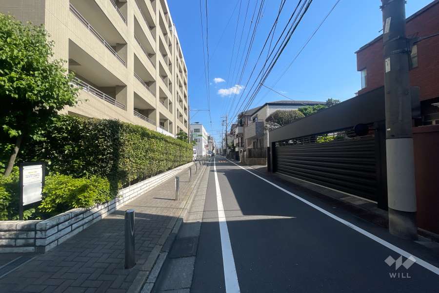 敷地の西側前面道路（北側から）