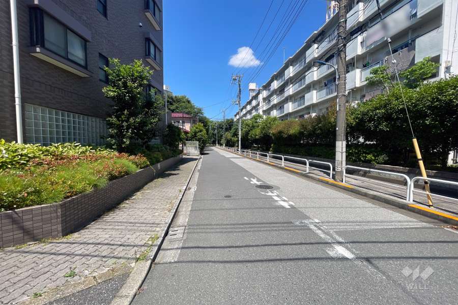 敷地の北側前面道路（東側から）