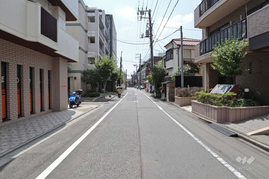 敷地東側の前面道路（北側から）