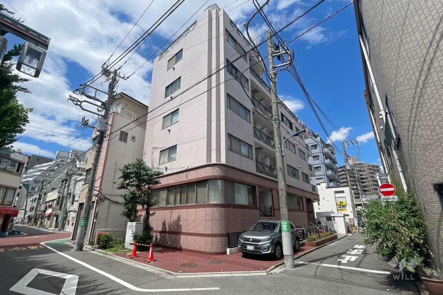 アイビーハイツ赤羽の外観（南側から）　