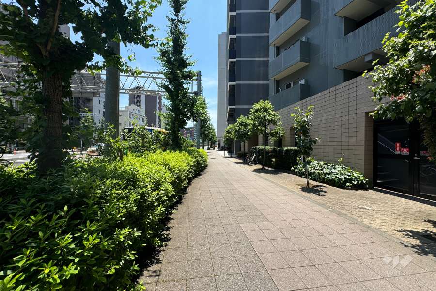 敷地の東側前面道路（北側から）