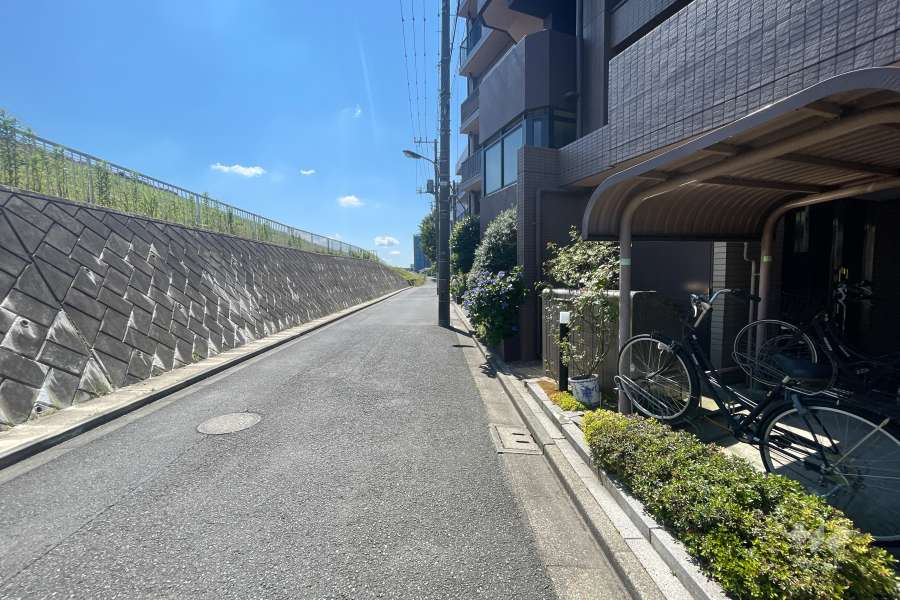 敷地の北側前面道路（西側から）