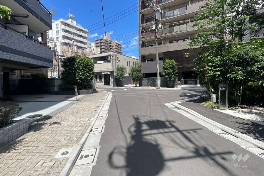 敷地の南側前面道路（西側から）