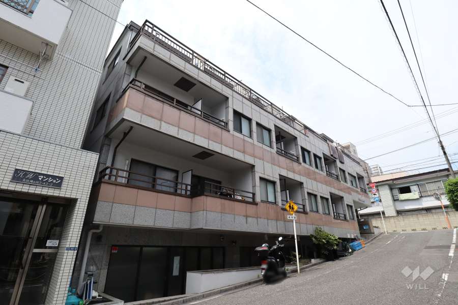 菱和パレス滝野川CDIの外観（南側から）